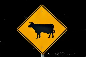 Jakie są najważniejsze cechy i zastosowania znaków ostrzegawczych