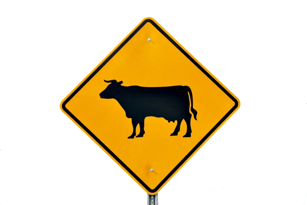 Jakie są najważniejsze cechy i zastosowania znaków ostrzegawczych